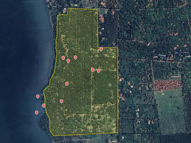 GIS